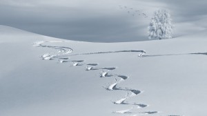 wintry-2068298_960_720