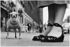 03elliott_erwitt_usa_new_york_city_1946_839ac