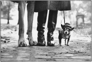 Elliott_Erwitt_USA_New_York_1974_Felix_Gladys_and_Rover_03